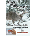 Tracks of the White-Tailed Buck: A Deer Tracking Guide