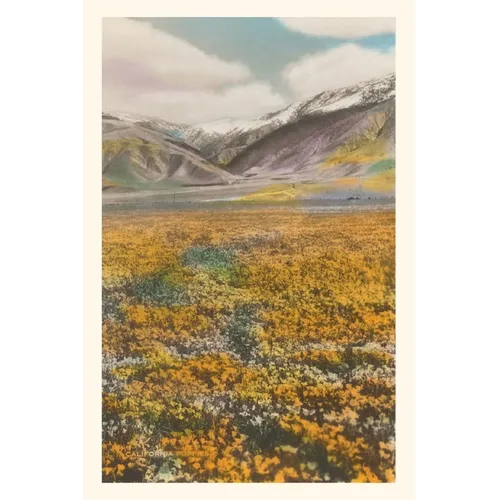 Vintage Journal California Poppies