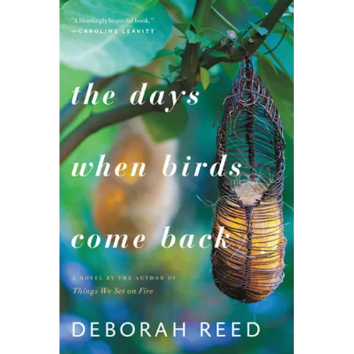 The Days When Birds Come Back