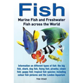 Fish: Marine Fish and Freshwater Fish Across the World: Information on Different Types of Fish: The Big Fish, Shark, Dog Fis