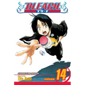 Bleach, Vol. 14: White Tower Rocks