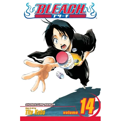 Bleach, Vol. 14: White Tower Rocks