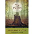 The Trees: Volume 29