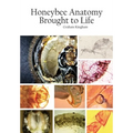 Honeybee Anatomy Brought to Life