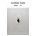 Storm Toward Morning