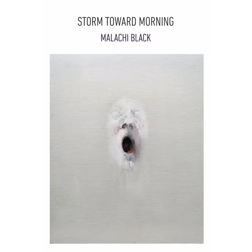Storm Toward Morning