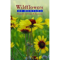 Wildflowers of Montana
