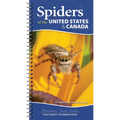 Spiders of the United States & Canada: Easily Identify 158 Common Species