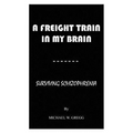 A Freight Train in My Brain: Surviving Schizophrenia