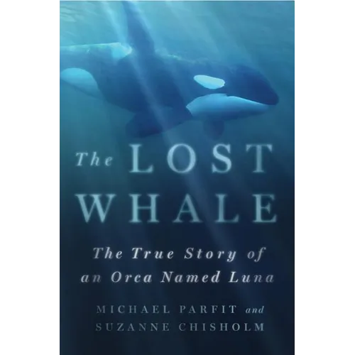 Lost Whale