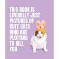 This Book Is Literally Just Pictures of Cute Cats Who Are Plotting to Kill You