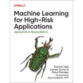 Machine Learning for High-Risk Applications: Approaches to Responsible AI