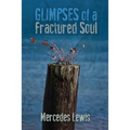Glimpses of a Fractured Soul