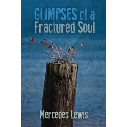 Glimpses of a Fractured Soul