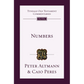 Numbers: An Introduction and Commentary Volume 4