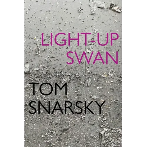 Light-Up Swan