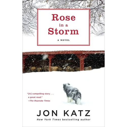 Rose in a Storm
