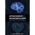 Attachment and Neurobiology: Preconception to Young Adulthood