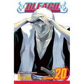 Bleach, Vol. 20: End of Hypnosis