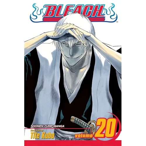 Bleach, Vol. 20: End of Hypnosis