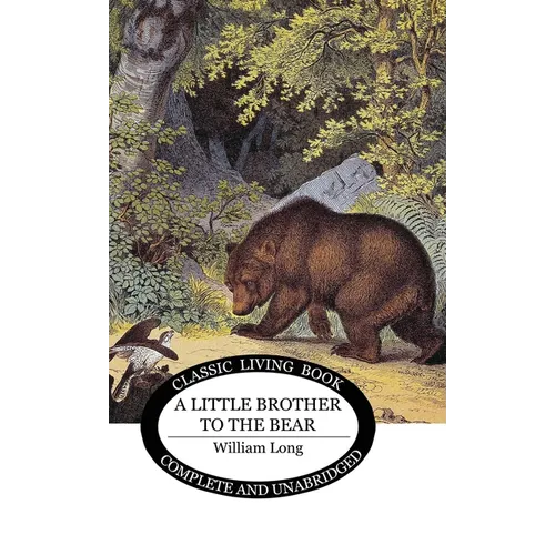 Little Brother to the Bear