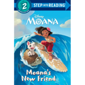 Moana's New Friend (Disney Moana)