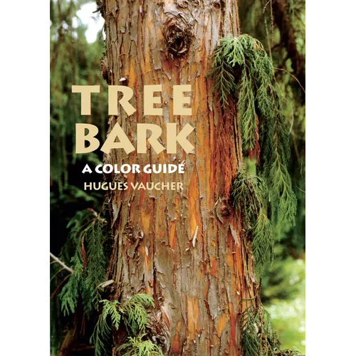Tree Bark: A Color Guide