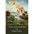 You Are Here to Break Apart