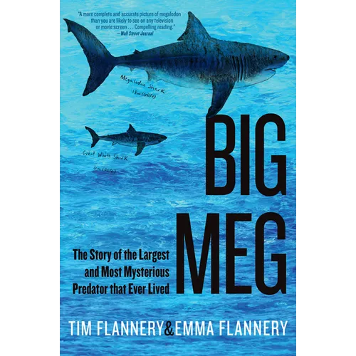Big Meg: The Story of the Largest and Most Mysterious Predator That Ever Lived