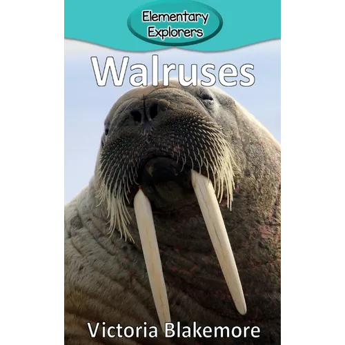 Walruses