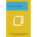 Plants Of The Bible