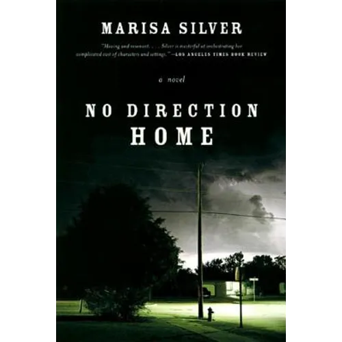 No Direction Home