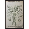 Shakespeare's Imagery and What it Tells Us