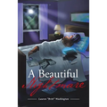 A Beautiful Nightmare: The Pursuit of the American Dream
