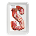 S (Paperback)