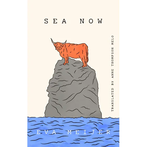 Sea Now