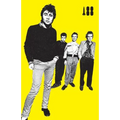 I Was a Teenage Sex Pistol