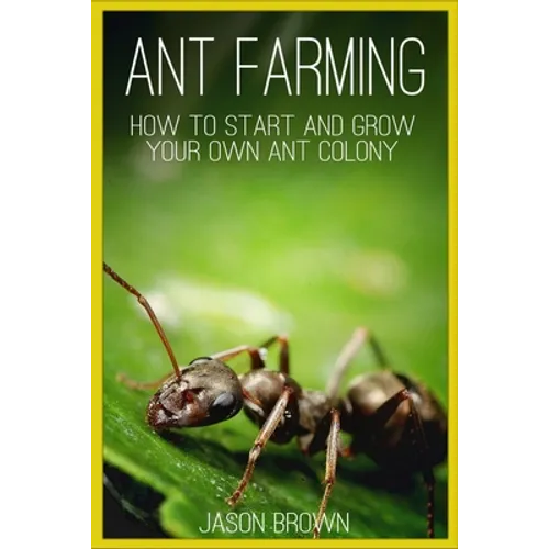 Ant Farming: How to Start and Grow Your Own Ant Colony