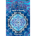 Divine Tie Dyes Made in Minutes: For Ages 8-80