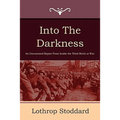 Into the Darkness