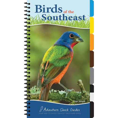 Birds of the Southeast: Your Way to Easily Identify Backyard Birds