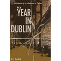 My Year in Dublin: Adventures of an American in Ireland