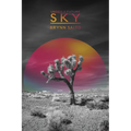Under a Future Sky