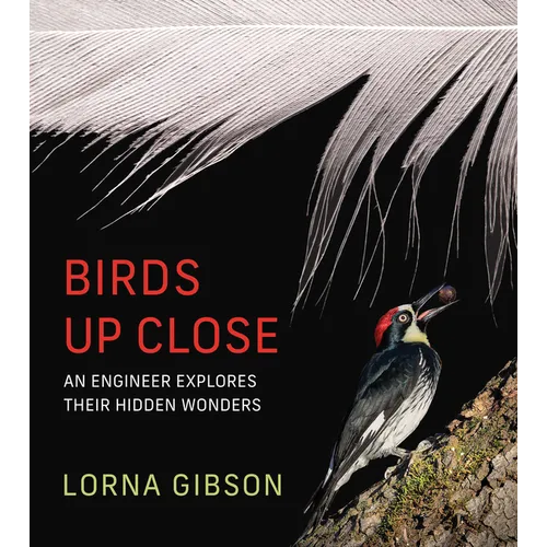 Birds Up Close: An Engineer Explores Their Hidden Wonders