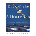 Eye of the Albatross: Visions of Hope and Survival
