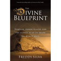 The Divine Blueprint: Temples, power places, and the global plan to shape the human soul.