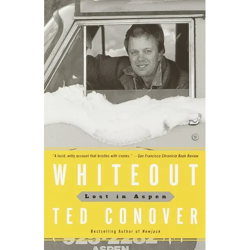 Whiteout: Lost in Aspen