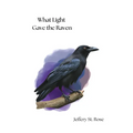 What Light Gave the Raven