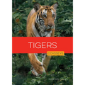 Tigers