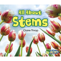 All about Stems